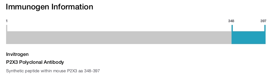 P2X3 Polyclonal Antibody