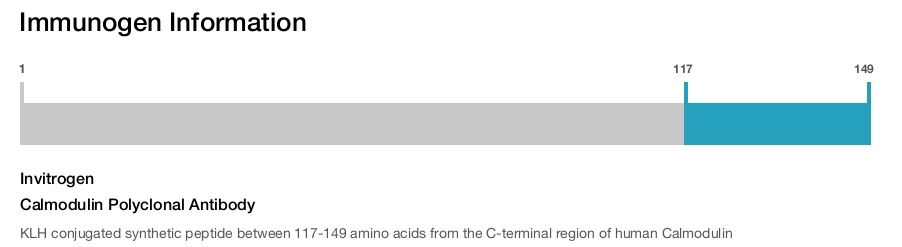 Calmodulin Polyclonal Antibody