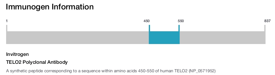 TELO2 Polyclonal Antibody
