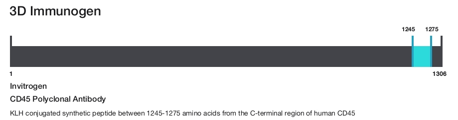 CD45 Polyclonal Antibody
