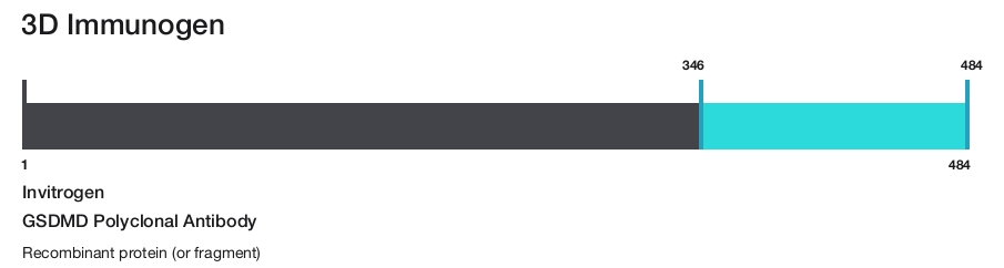 GSDMD Polyclonal Antibody