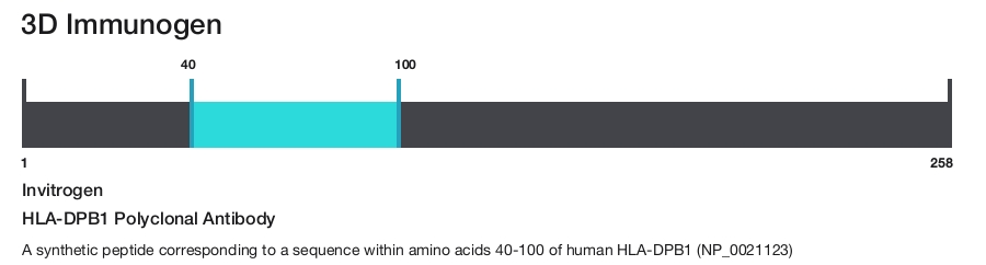HLA-DPB1 Polyclonal Antibody