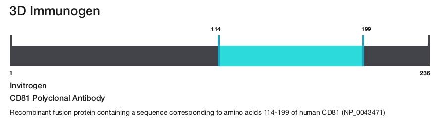 CD81 Polyclonal Antibody