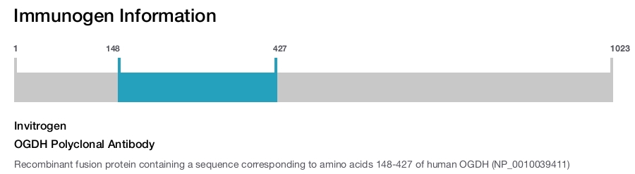 OGDH Polyclonal Antibody