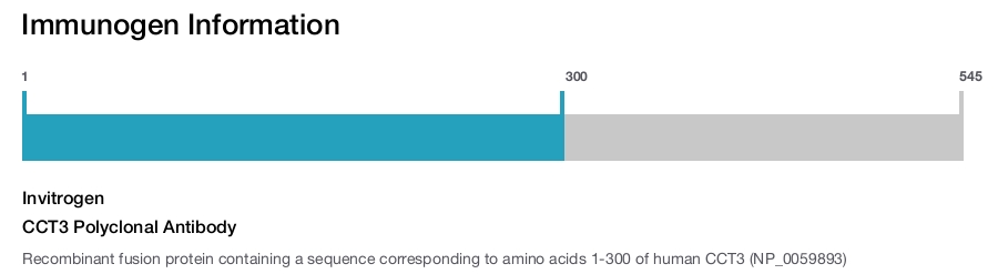 CCT3 Polyclonal Antibody