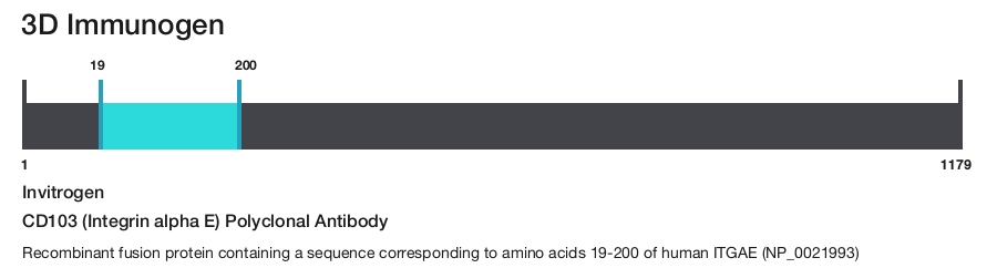 CD103 (Integrin alpha E) Polyclonal Antibody