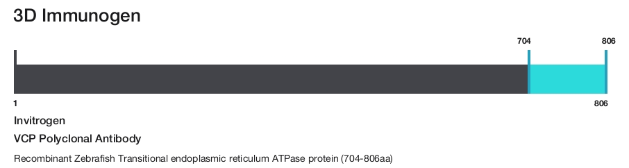 VCP Polyclonal Antibody