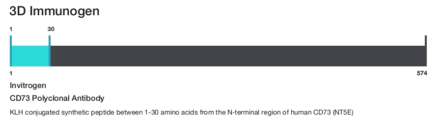 CD73 Polyclonal Antibody