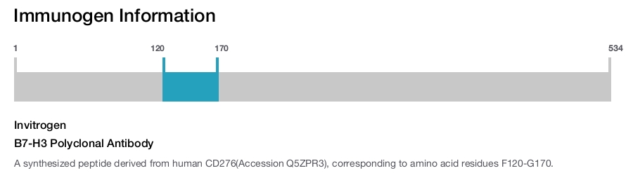 B7-H3 Polyclonal Antibody