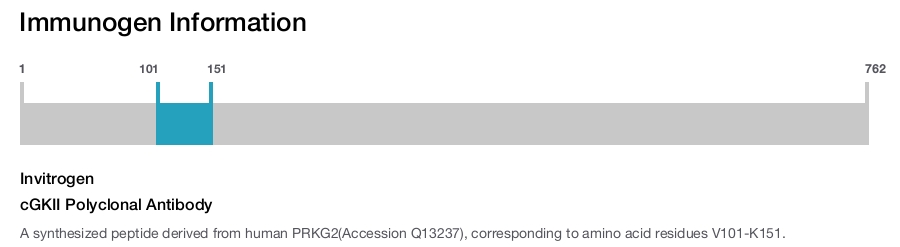 cGKII Polyclonal Antibody