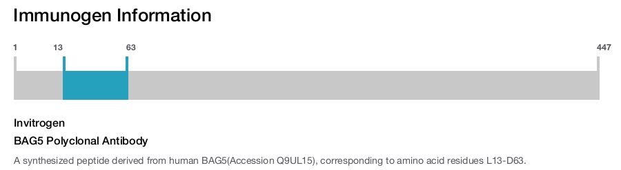 BAG5 Polyclonal Antibody