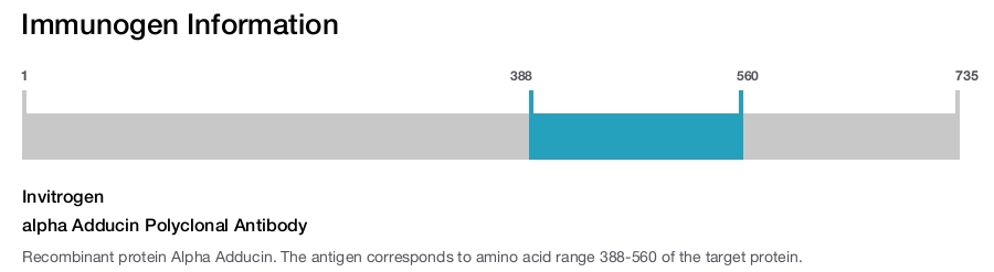 alpha Adducin Polyclonal Antibody
