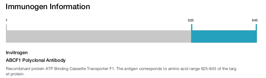 ABCF1 Polyclonal Antibody