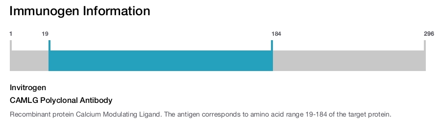CAMLG Polyclonal Antibody