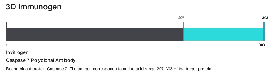 Caspase 7 Polyclonal Antibody
