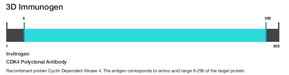 CDK4 Polyclonal Antibody