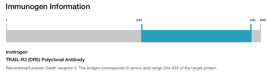 TRAIL-R2 (DR5) Polyclonal Antibody