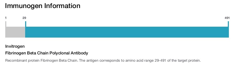 Fibrinogen Beta Chain Polyclonal Antibody