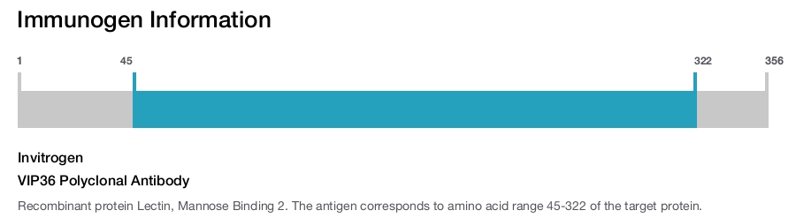 VIP36 Polyclonal Antibody