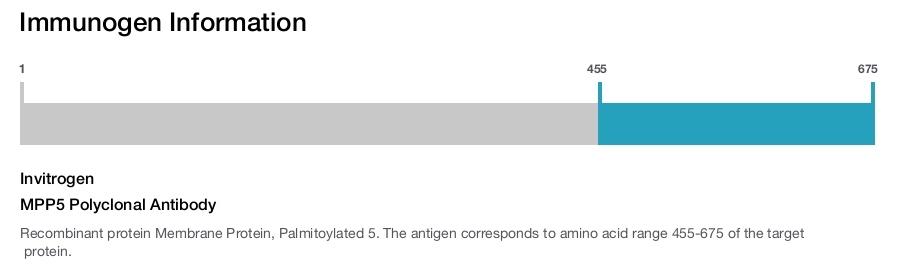 MPP5 Polyclonal Antibody