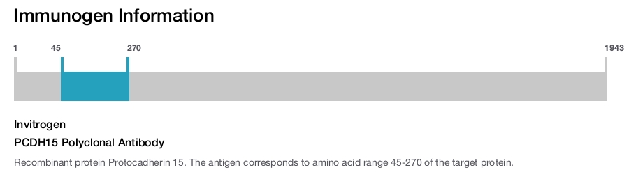 PCDH15 Polyclonal Antibody