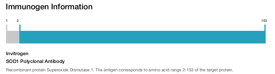 SOD1 Polyclonal Antibody