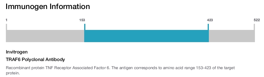 TRAF6 Polyclonal Antibody