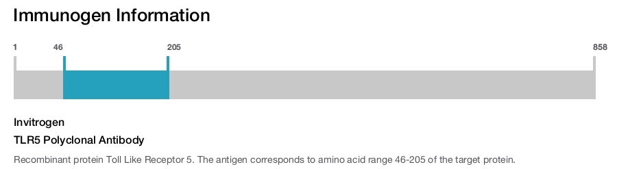 TLR5 Polyclonal Antibody