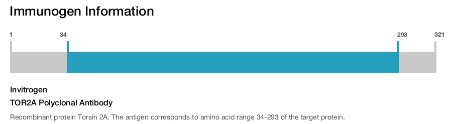 TOR2A Polyclonal Antibody