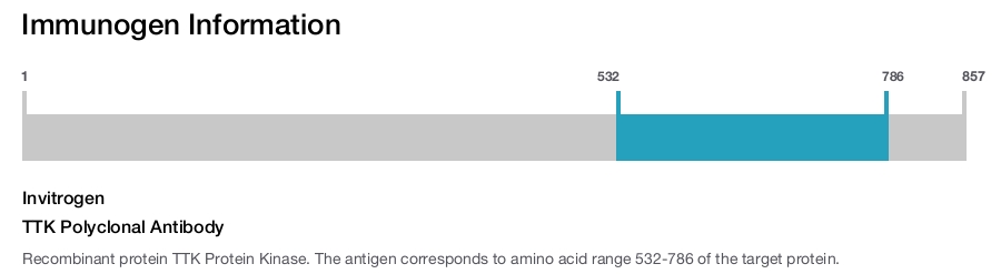 TTK Polyclonal Antibody