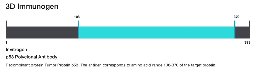 p53 Polyclonal Antibody