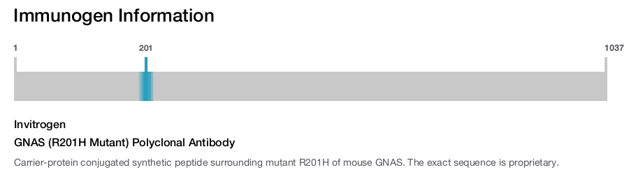 GNAS (R201H Mutant) Polyclonal Antibody