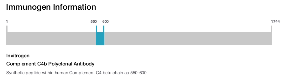 Complement C4b Polyclonal Antibody