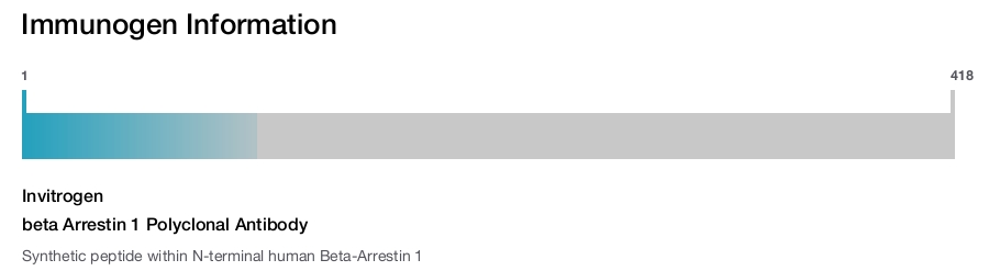 beta Arrestin 1 Polyclonal Antibody