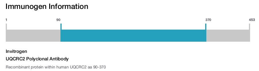 UQCRC2 Polyclonal Antibody