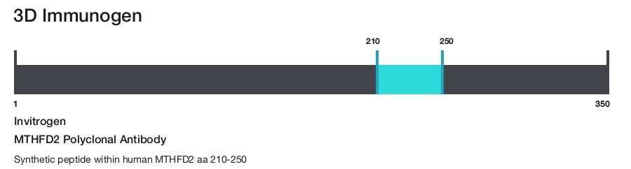 MTHFD2 Polyclonal Antibody