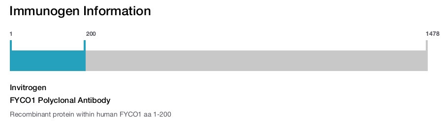 FYCO1 Polyclonal Antibody