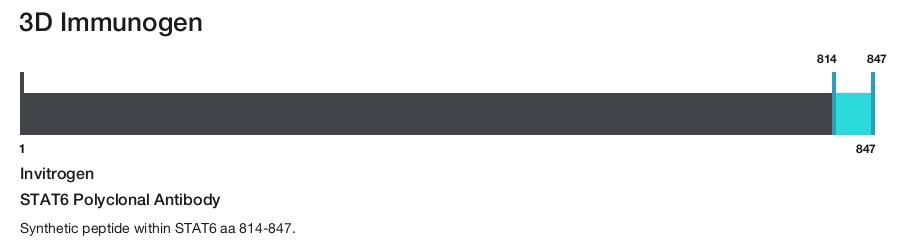 STAT6 Polyclonal Antibody