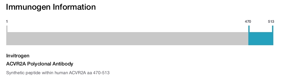 ACVR2A Polyclonal Antibody