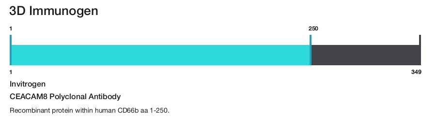 CEACAM8 Polyclonal Antibody