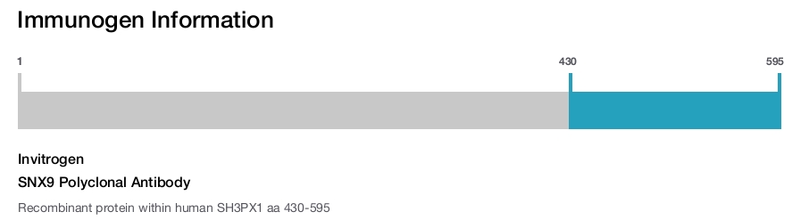 SNX9 Polyclonal Antibody