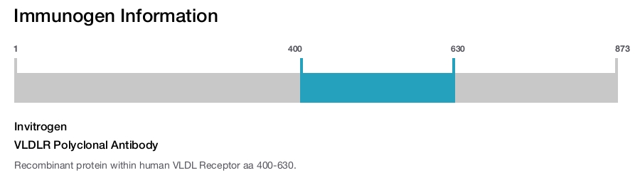 VLDLR Polyclonal Antibody