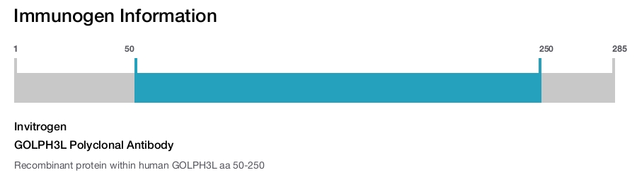 GOLPH3L Polyclonal Antibody