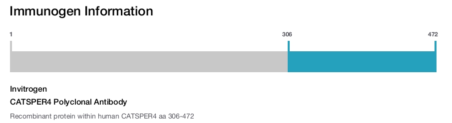 CATSPER4 Polyclonal Antibody