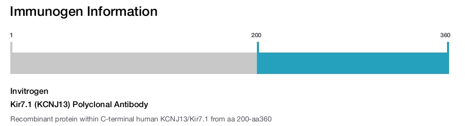 Kir7.1 (KCNJ13) Polyclonal Antibody