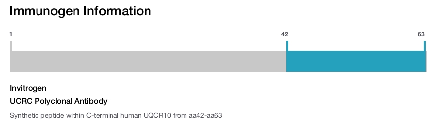 UCRC Polyclonal Antibody