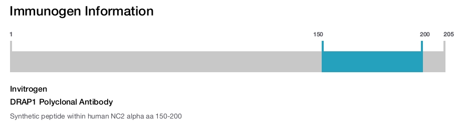 DRAP1 Polyclonal Antibody