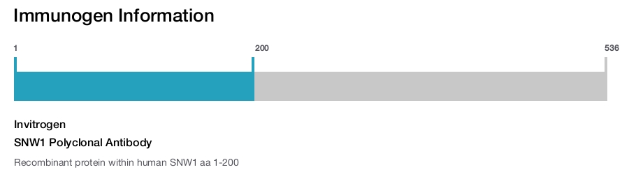SNW1 Polyclonal Antibody