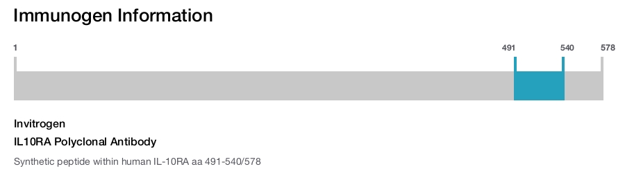 IL10RA Polyclonal Antibody