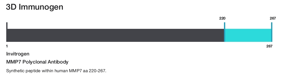 MMP7 Polyclonal Antibody